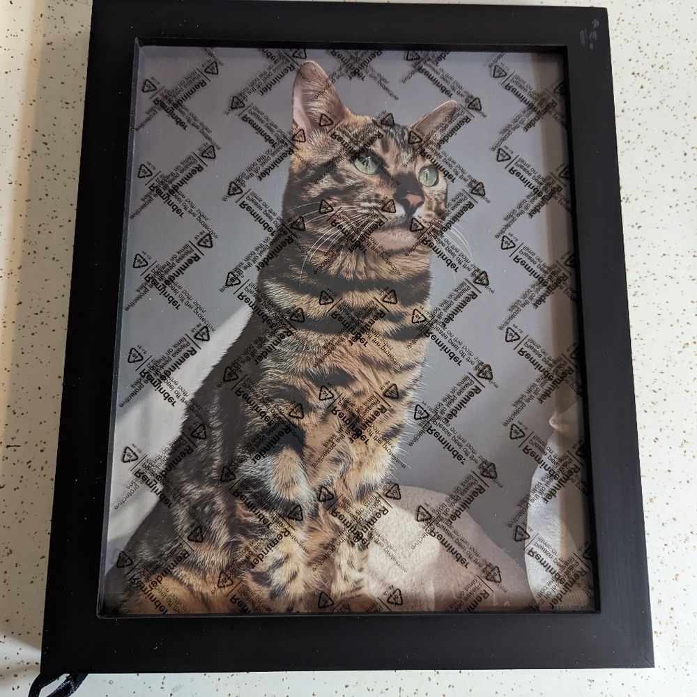 8 x 10 picture frame